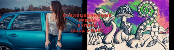 спайс Алексин