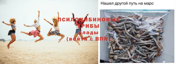 крисы Осташков