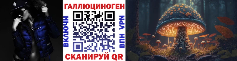 kraken онион  Тосно  Галлюциногенные грибы Cubensis 